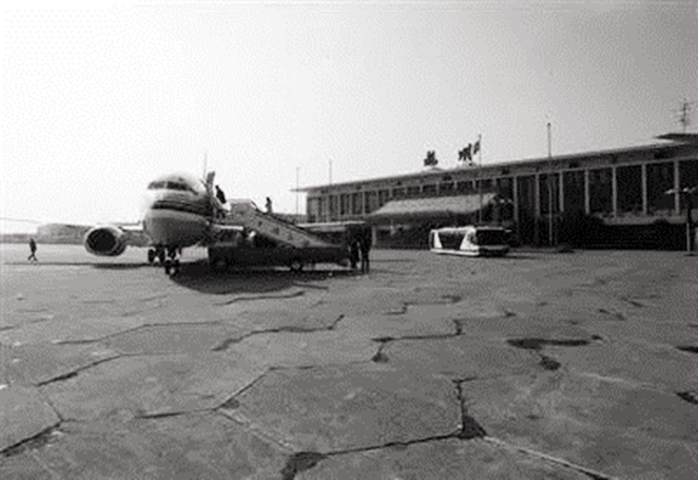 尼克松送给杭州的哪五棵树,尼克松带来的树