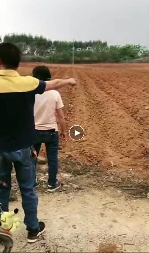 回家扫墓发现祖宗的坟不见了,回家扫墓坟不见了