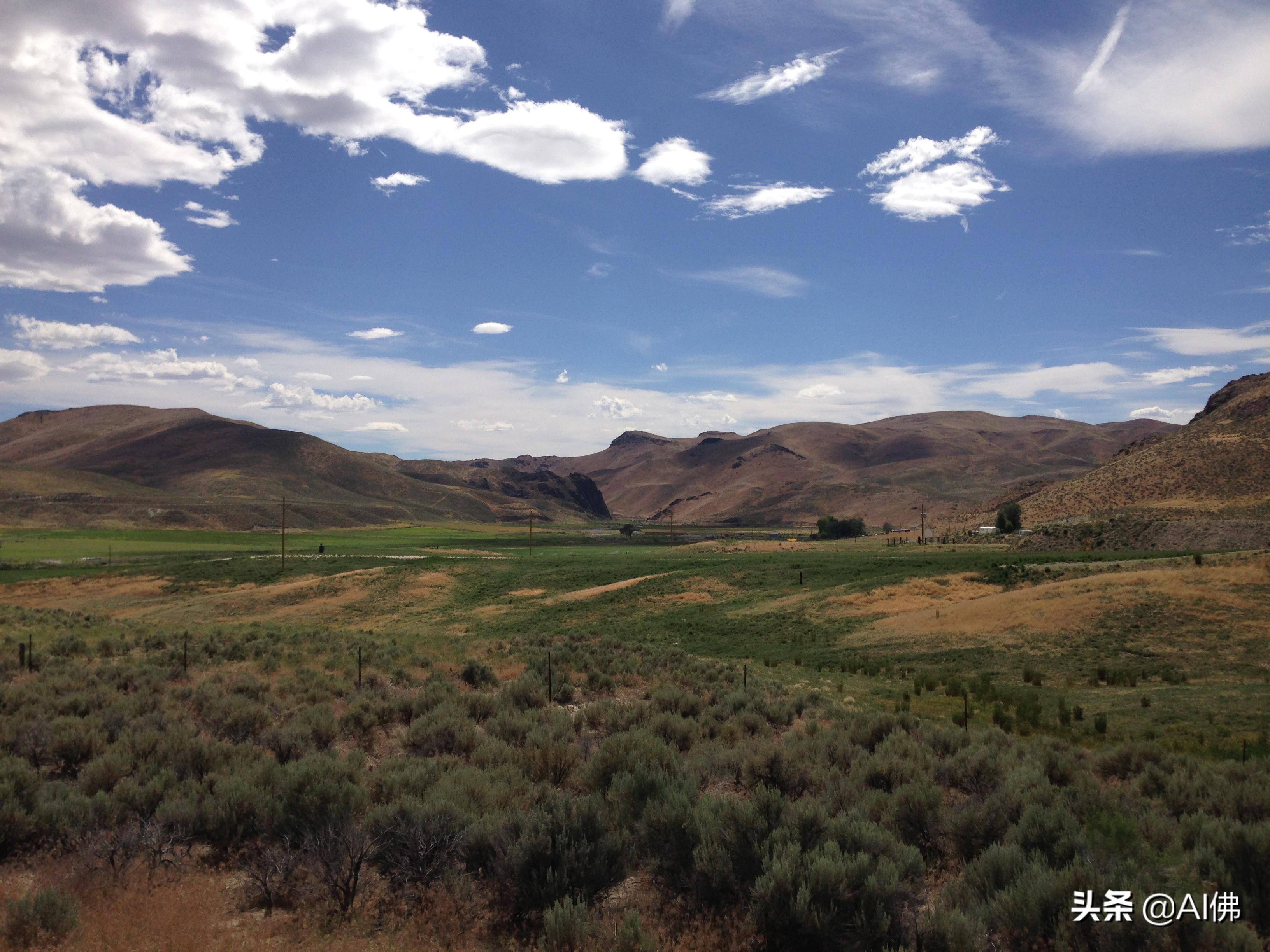 美国农田最多的州,美国哪个州的农场土地肥沃