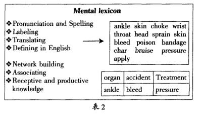 自考英语词汇学必背知识点,怎样学英语语法与词汇