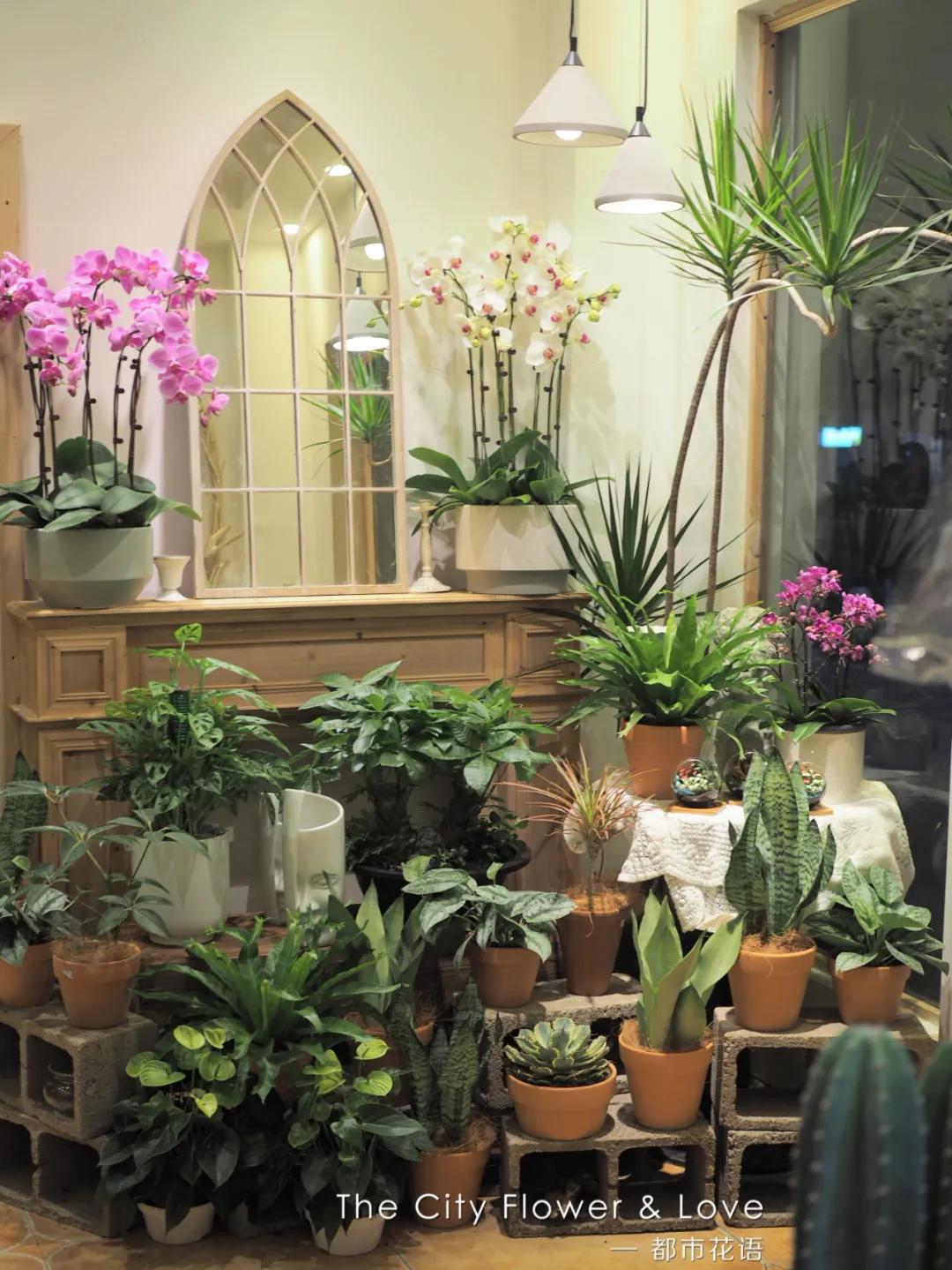 都市花语:从10平方米的小花店,到年营业额300万的生活美学馆