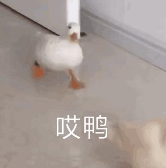 90%的BEC小白都遇过的“坑”，看看你有没有经历过？