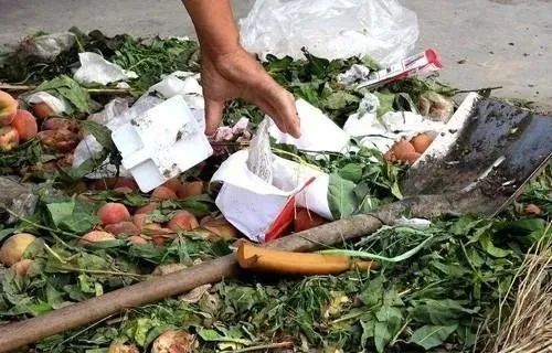 农村可以做哪些项目,现在农村可以做什么项目