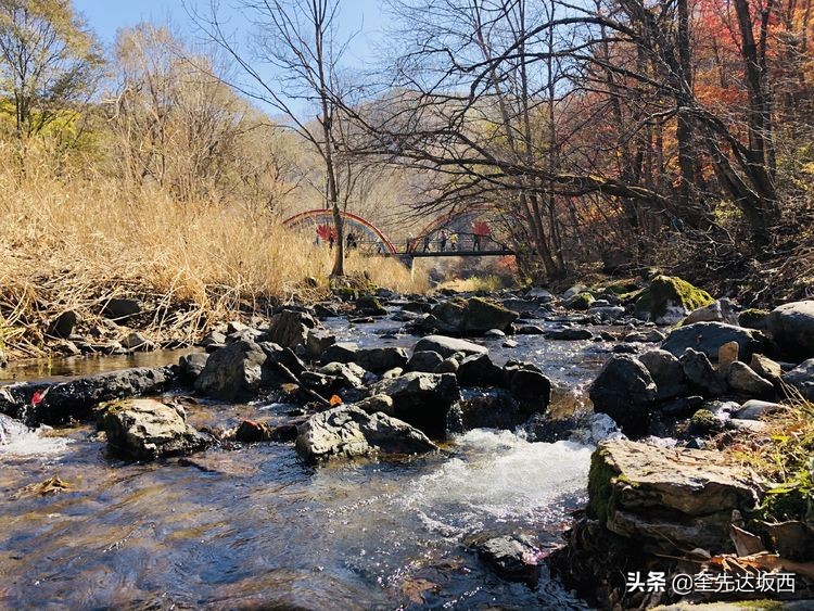 秋天的散文作文,秋天的诗歌随笔