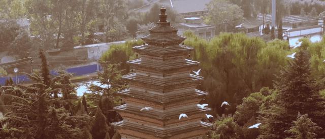 为什么网易打算用十年做好国风妖怪IP？