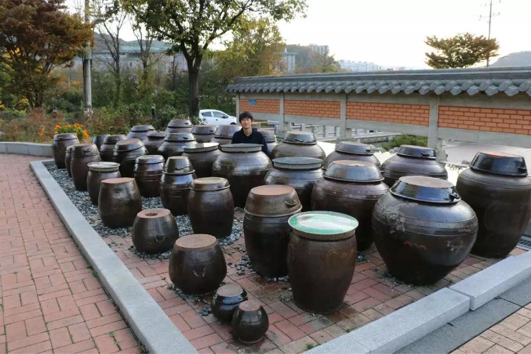 四川泡菜的做法萝卜,四川泡菜的做法包心菜