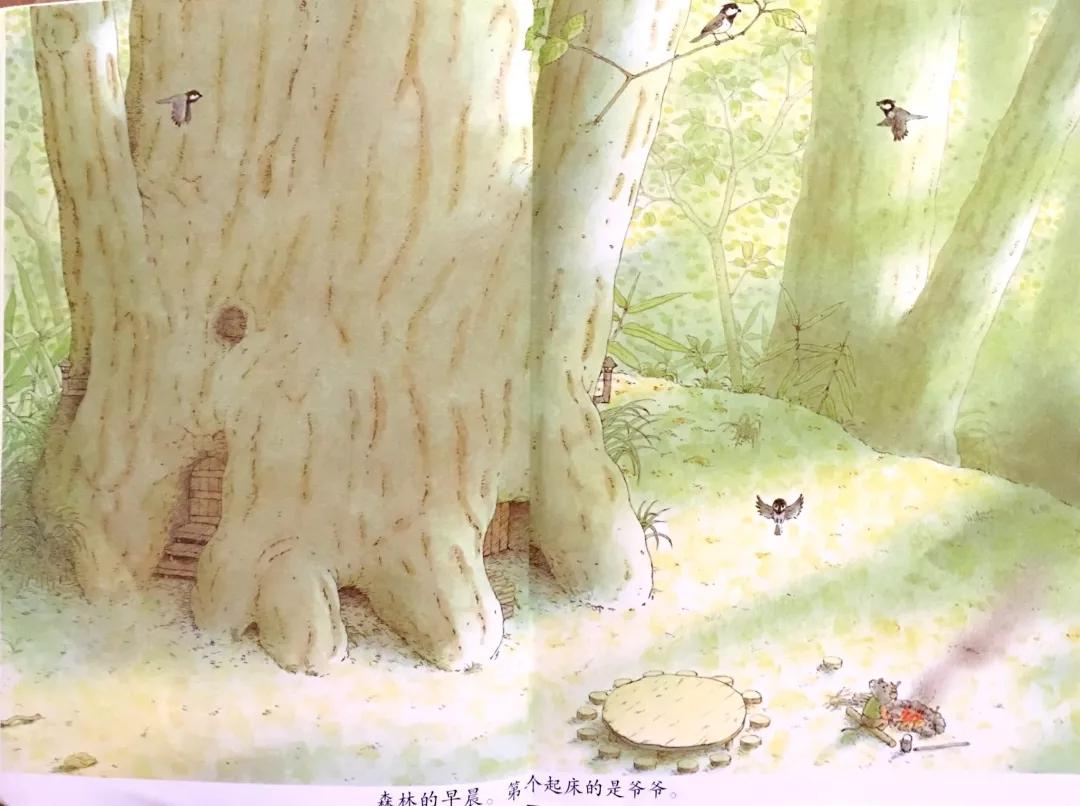 有声绘本故事14只老鼠去春游,有声绘本14只老鼠过冬