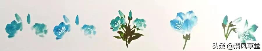 少儿国画花卉画法视频,各种花卉的100种画法