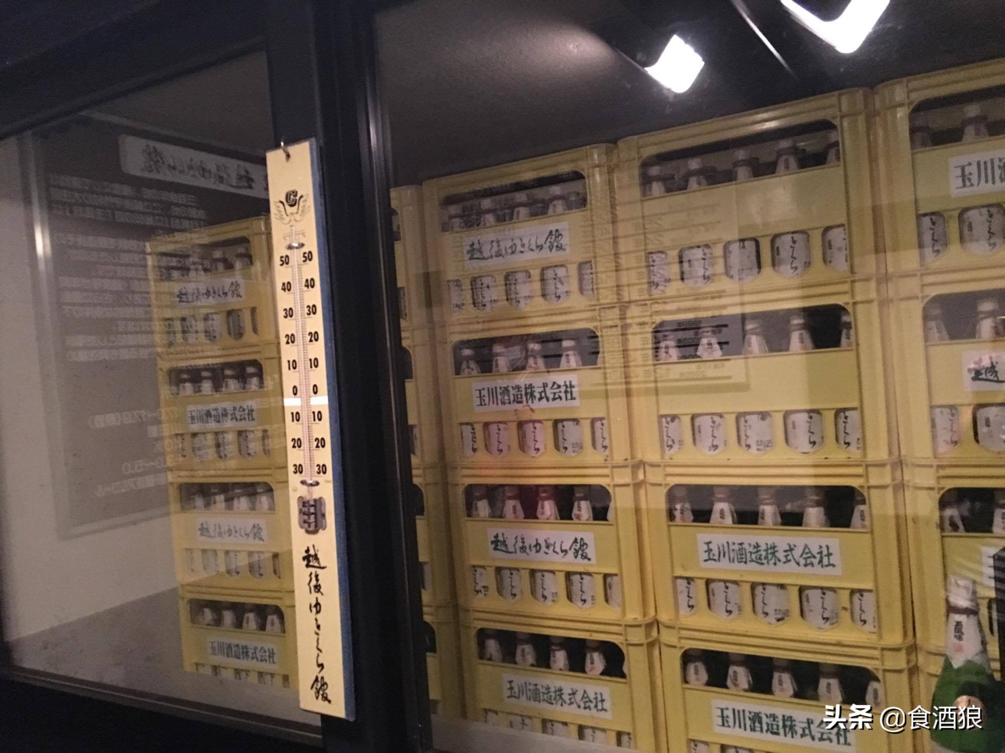 来去酒造喝清酒!玉川酒造见学