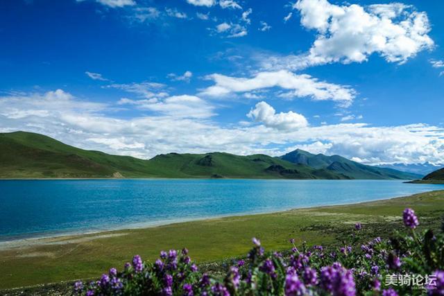 爱做梦的彩虹蜗之花朵口罩