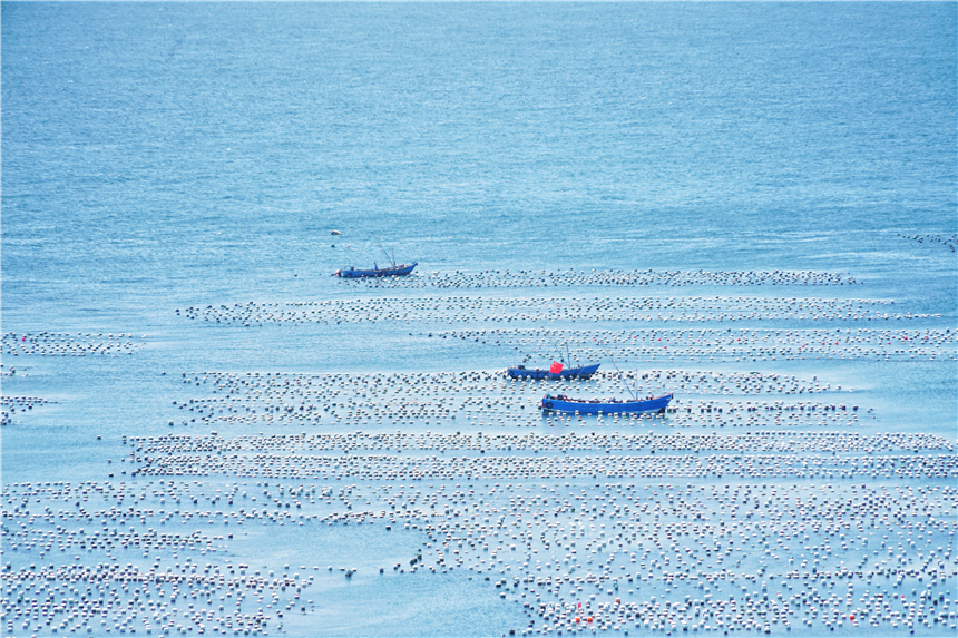 嵊泗列岛海岛推荐,嵊泗岛哪里海景最美