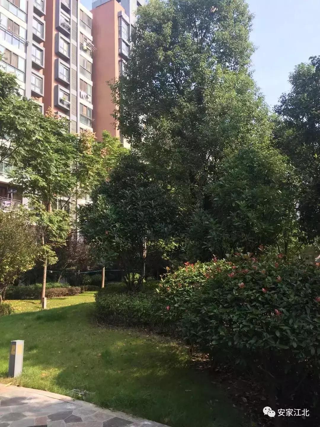 南京江北4号线新楼盘,南京地铁盘怎么样