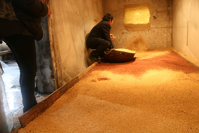 生粮酿酒为什么出酒率高,生料酿酒发酵好是什么样