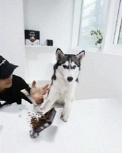 不联系的同学借钱怎么高情商回复,怎么回复借钱的同学