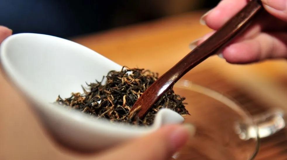 千年藏茶,生命之茶——巨匠台