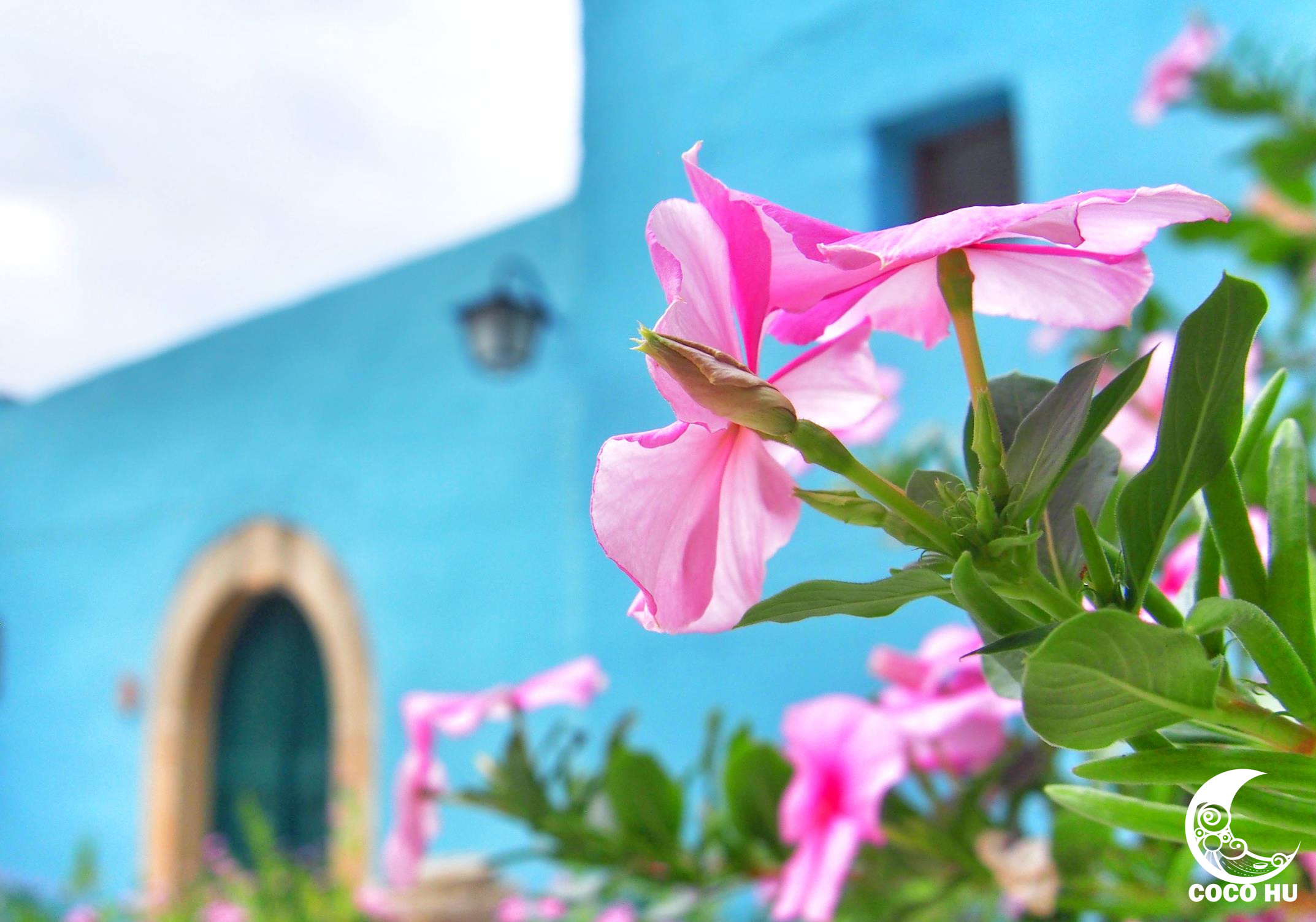 克里特文明与古埃及文明的联系,希腊克里特岛文明