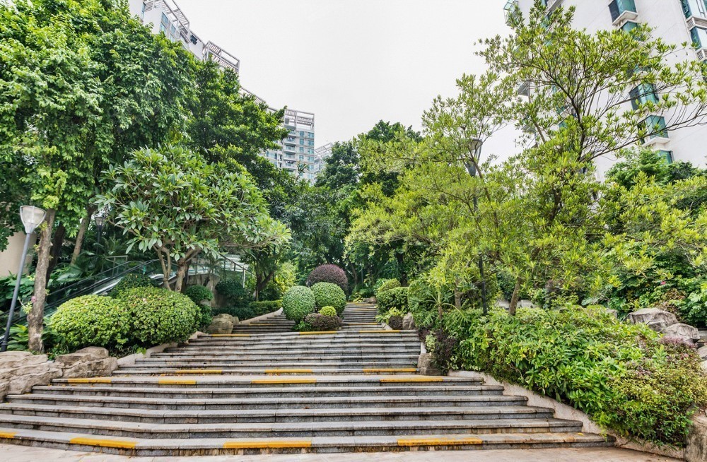 远离城市喧嚣的山林深处的房子,自然和繁华兼得的梦想居所