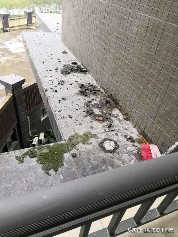 买房时腰线层未告知属于违法吗,买房腰线层谣言