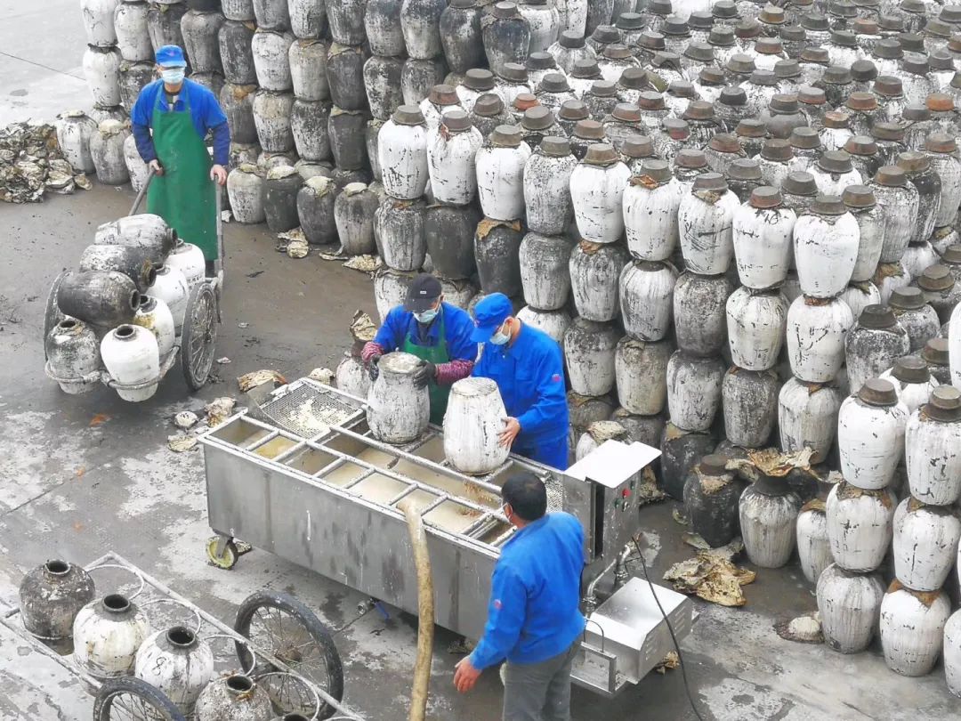 浙江人第一印象,浙江人的特色