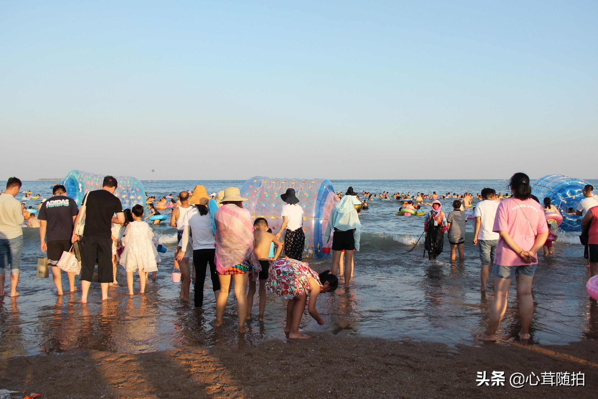 青岛市的金沙滩,金沙滩海边生活