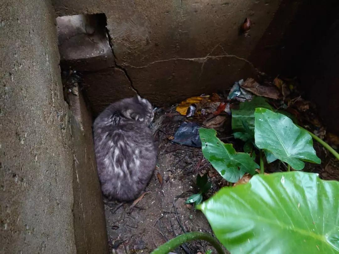 天佑香港丨香港一日