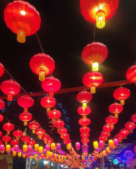 浏阳烟花花灯艺术,长沙市浏阳元宵花灯展