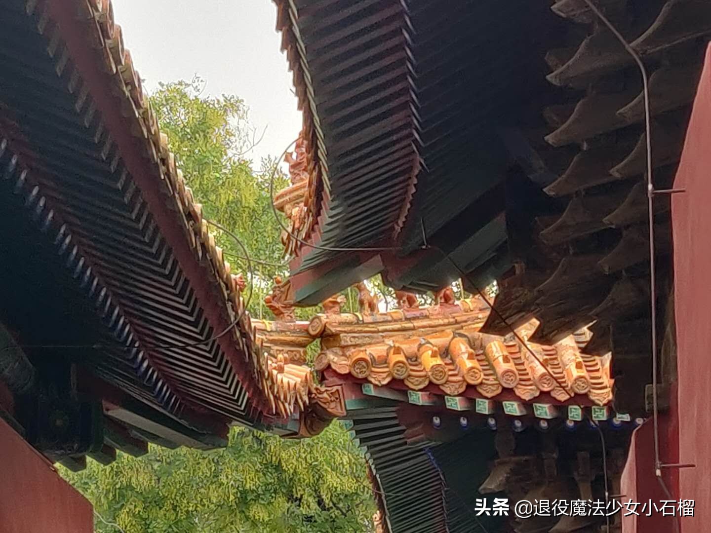 可移动的家Day12曲阜孔庙