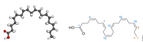 coromega海外旗舰店,coromega鱼油好用吗
