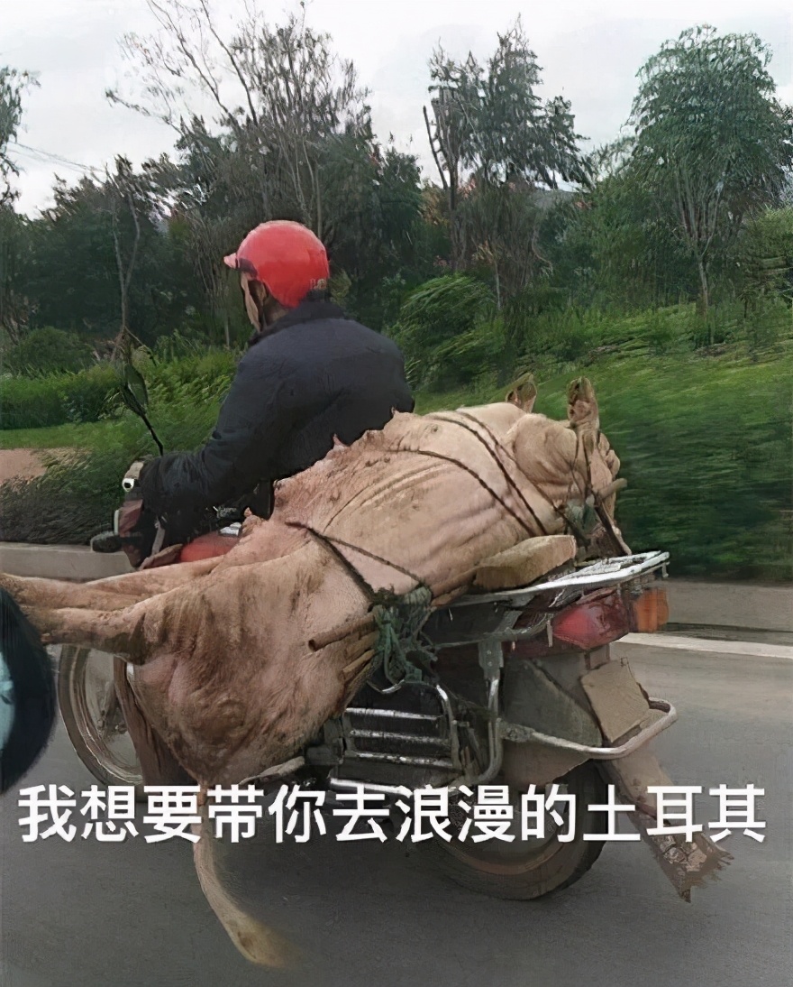 亲身经历过哪些坑,亲身经历致命骗局