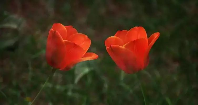 尚品全屋定制几线品牌,尚品全屋定制现代简约