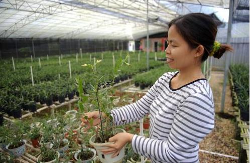 农业种地发家致富,农民种地致富的路子