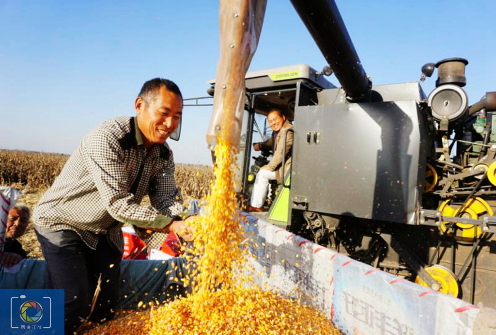 农村高考落榜了怎么办,农村高考落榜生的出路