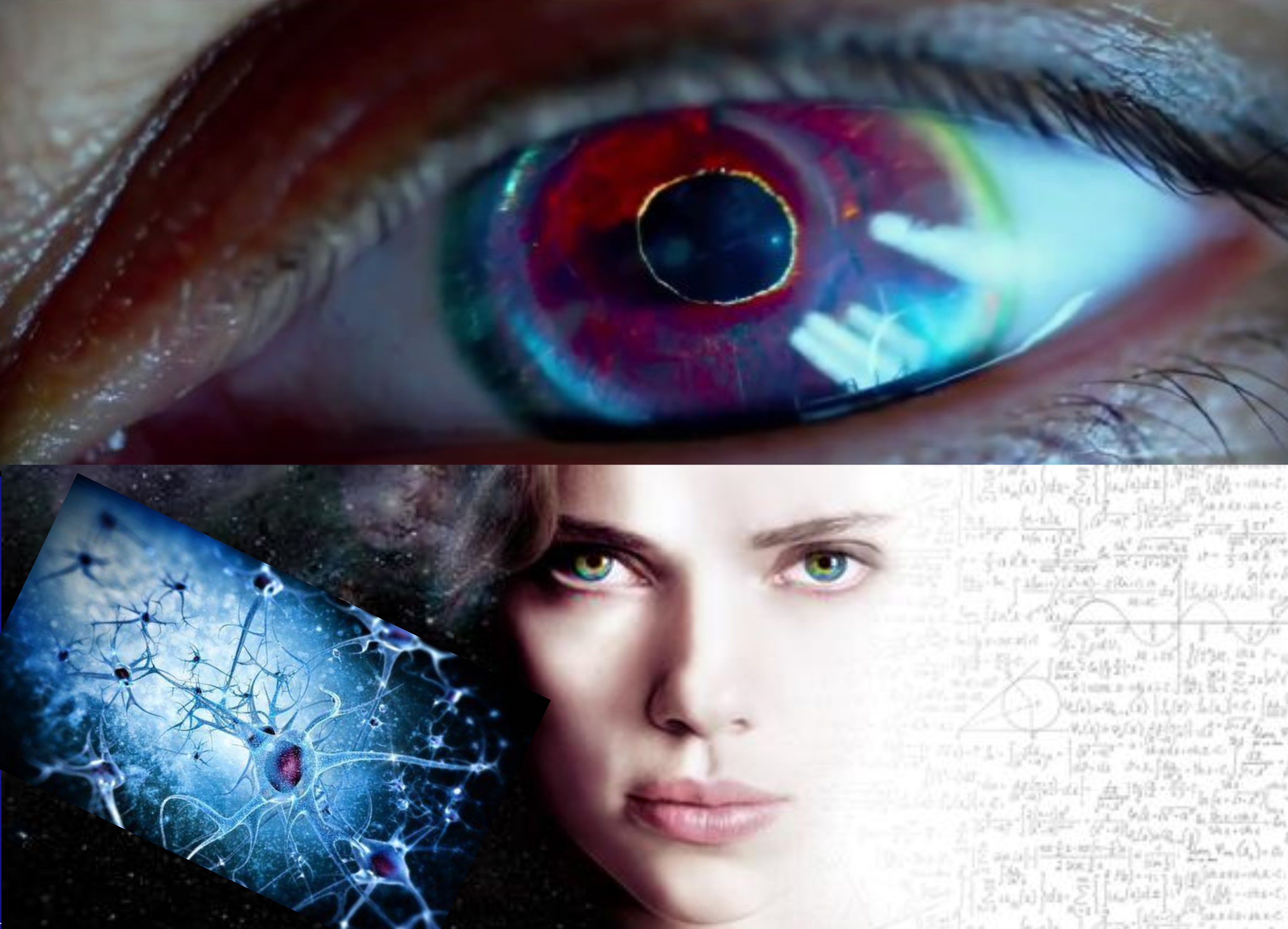 如果人类大脑开发到100有多强,大脑开发到100%人类会进化成神吗