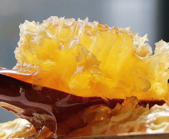 新巢蜜和老巢哪个好,哪个品牌的巢础好