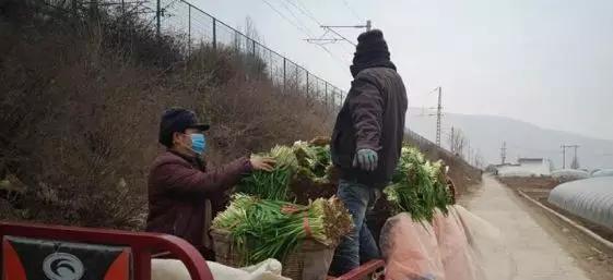 防疫施工如何两不误,紧抓春耕四川防疫工作两不误