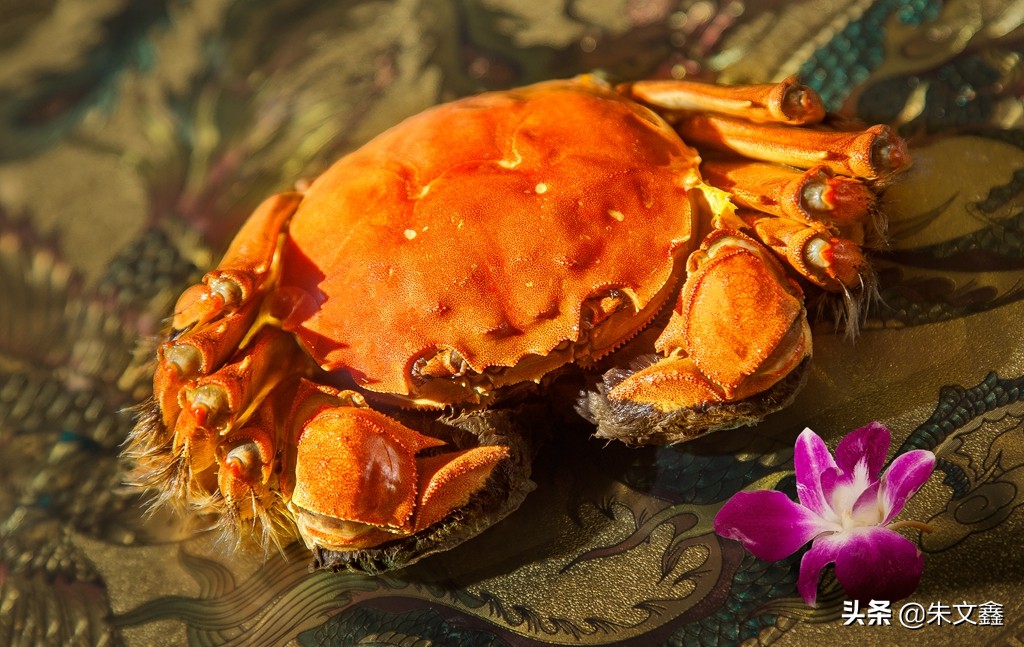 正是蟹肥稻香时，高淳与你来一场“蟹逅慢城美食之约”