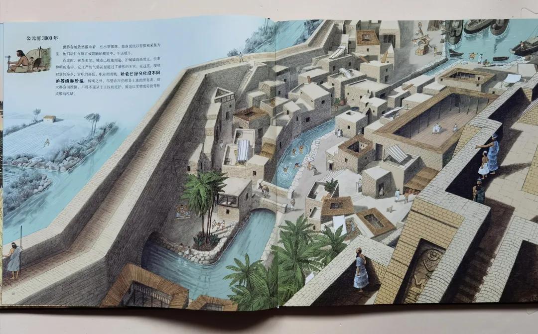 通过这半年的撒网阅读南瓜对历史产生了强烈的兴趣