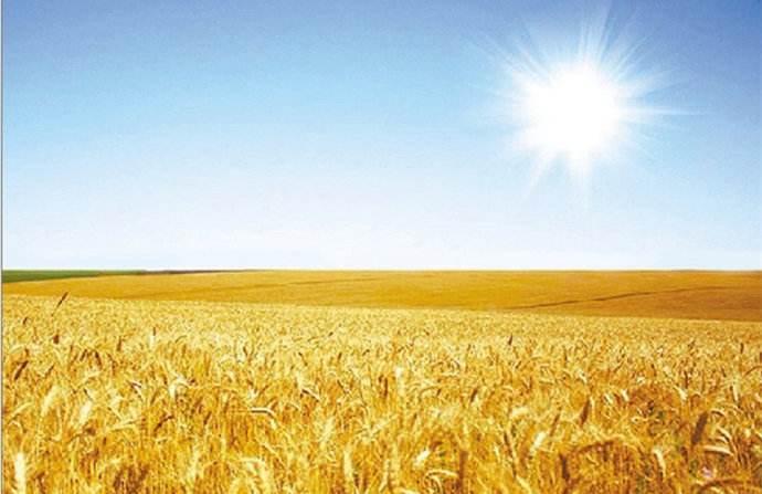 古诗描述芒种的句子,关于芒种的诗句合集