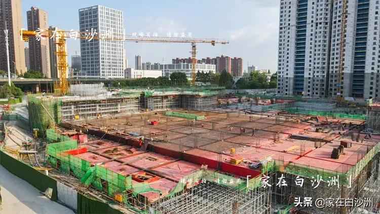 洪山万科viviland空中花园,洪山万科广场viviland店