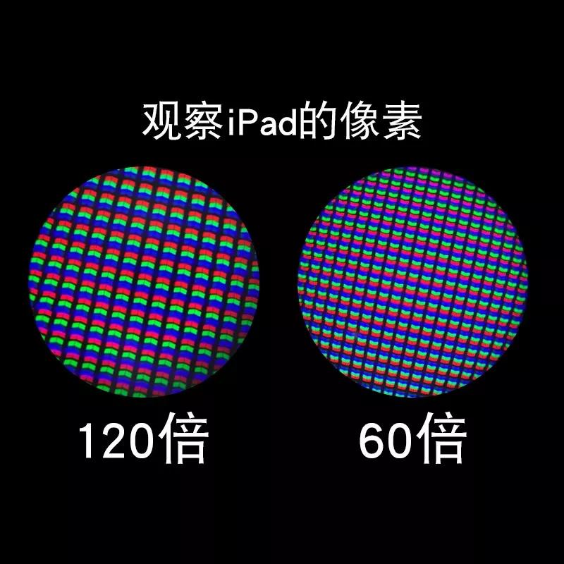 显微镜最大可以放大5000倍,只能放大1200倍的显微镜