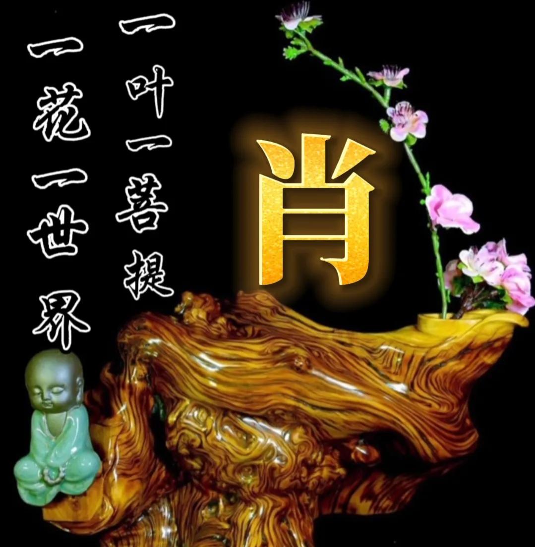 一花一世界一叶一菩提头像,一叶一菩提禅意微信头像