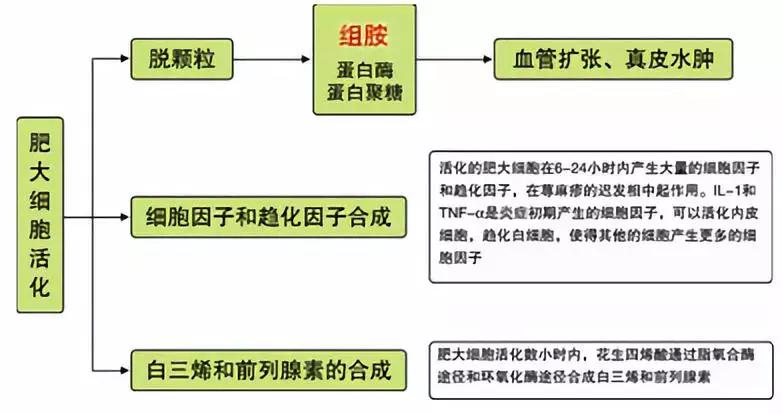 荨麻疹中医怎么问诊,荨麻疹的中医护理方案