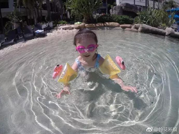 澳大利亚旅游抱考拉,麻麻游记视频大全