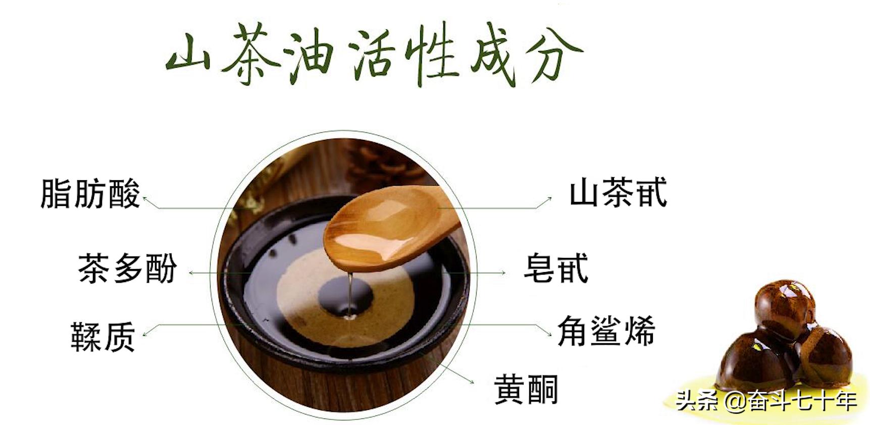 东方神润橄榄油,山茶油是东方橄榄油吗