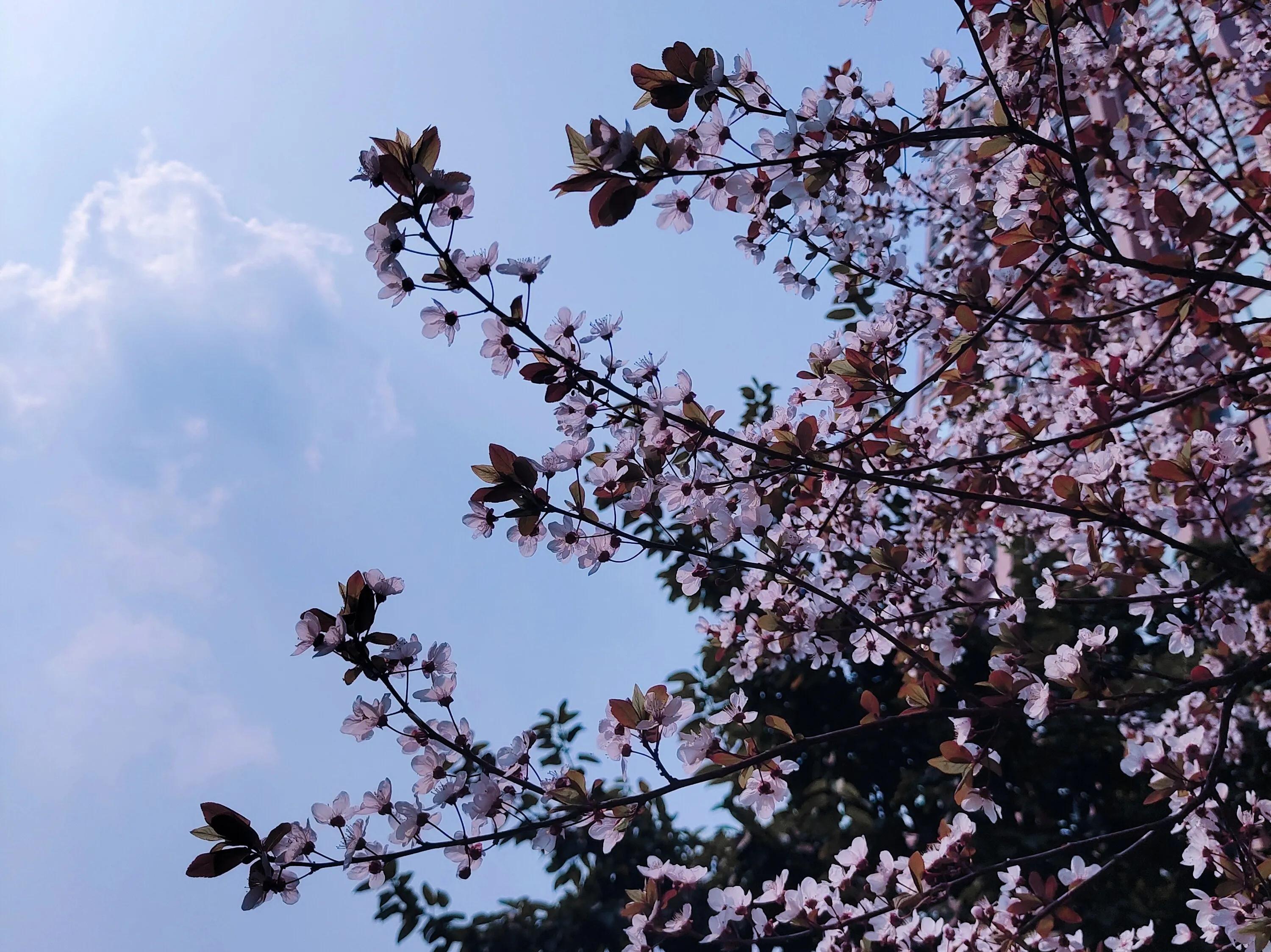 夫妻相处感觉太累了,关于夫妻相处很累无法沟通