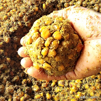 黑坑钓鲫鱼怎么样钓最好,黑坑钓鲫鱼用什么钓最好