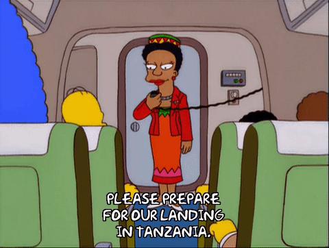 飞机上叫空姐服务员被骂,国外飞机上空姐被打