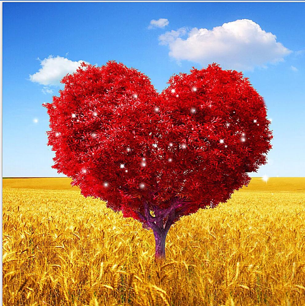 怎么做好头条自媒体,头条自媒体新手如何做