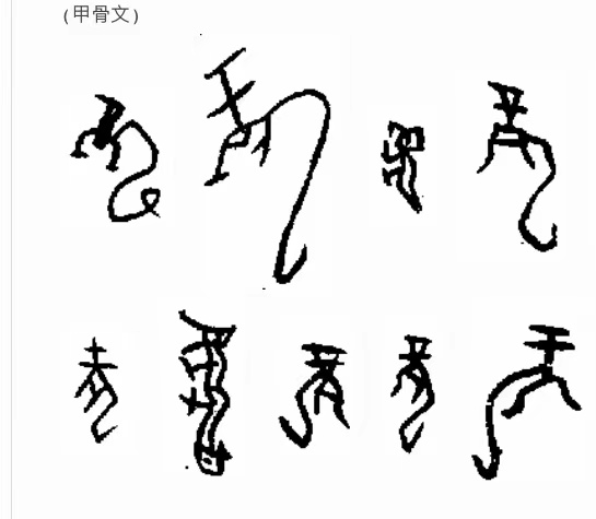 考古历史未解之谜甲骨文,考古十大存疑