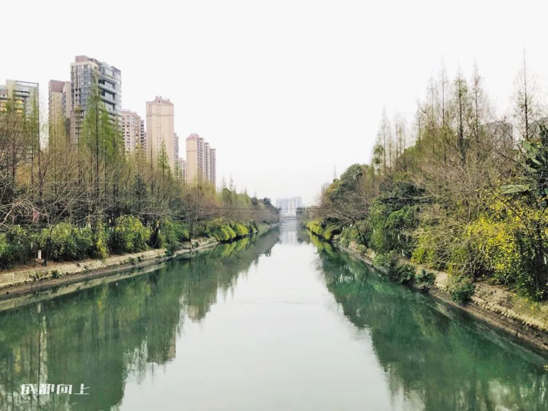 起拍价15600元/㎡!成都会捅破土拍的天花板吗?